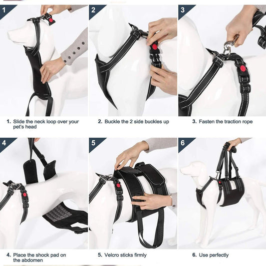 Rynx | Support Belt Set Adjustable Chest Strap for Elderly Disabled Dog