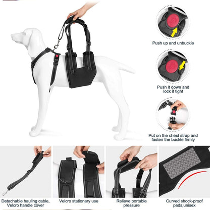 Rynx | Support Belt Set Adjustable Chest Strap for Elderly Disabled Dog