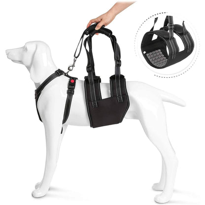 Rynx | Support Belt Set Adjustable Chest Strap for Elderly Disabled Dog