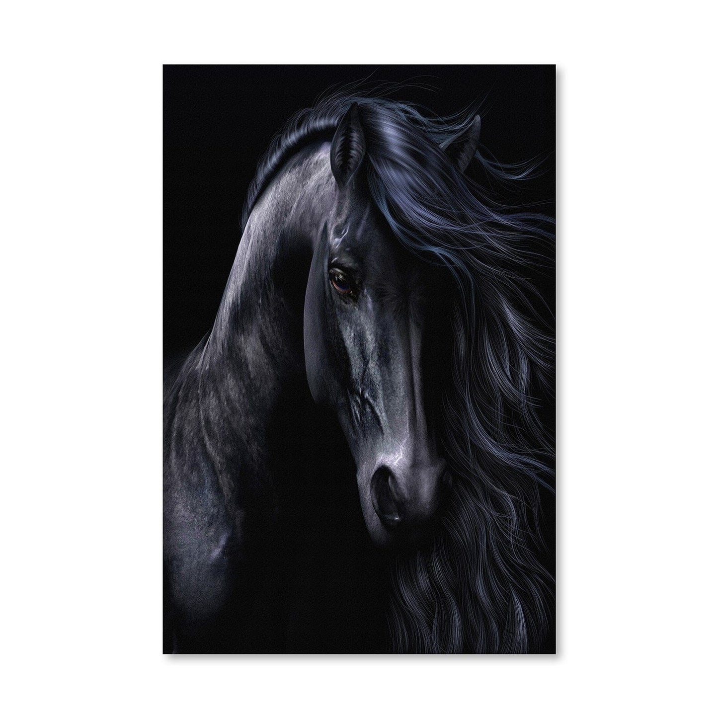 Rynx | The Black Canvas