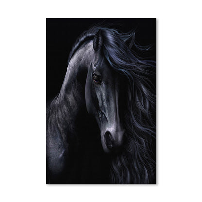 Rynx | The Black Canvas
