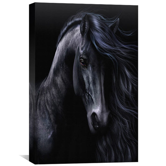 Rynx | The Black Canvas