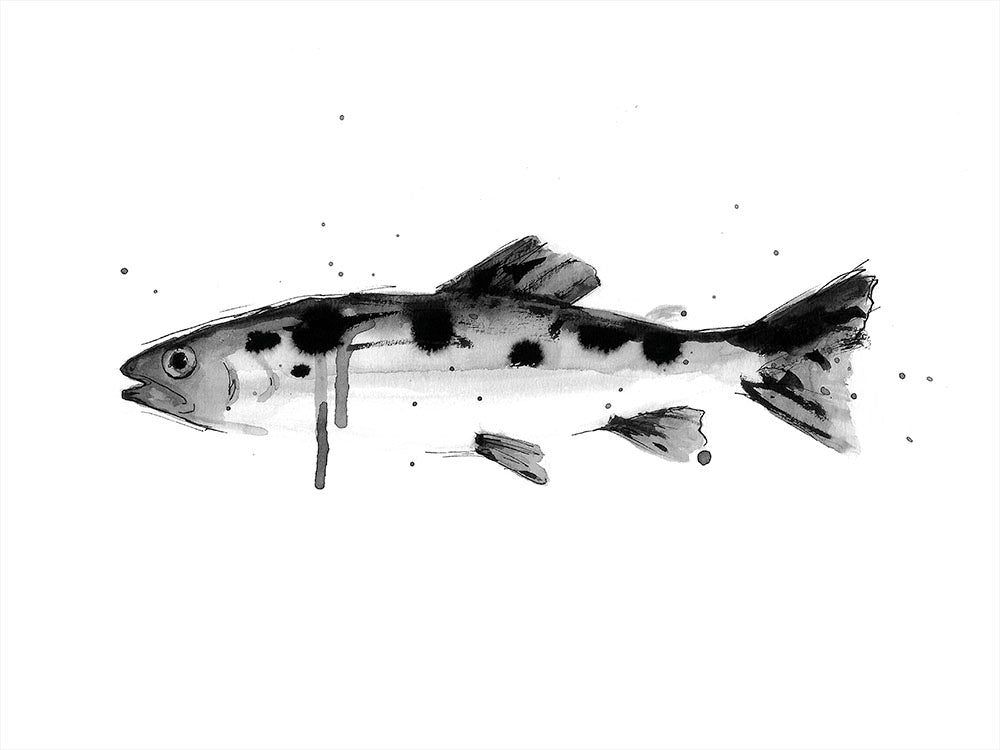 Rynx | The Fish