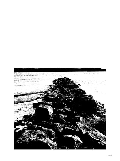 Rynx | The Pier