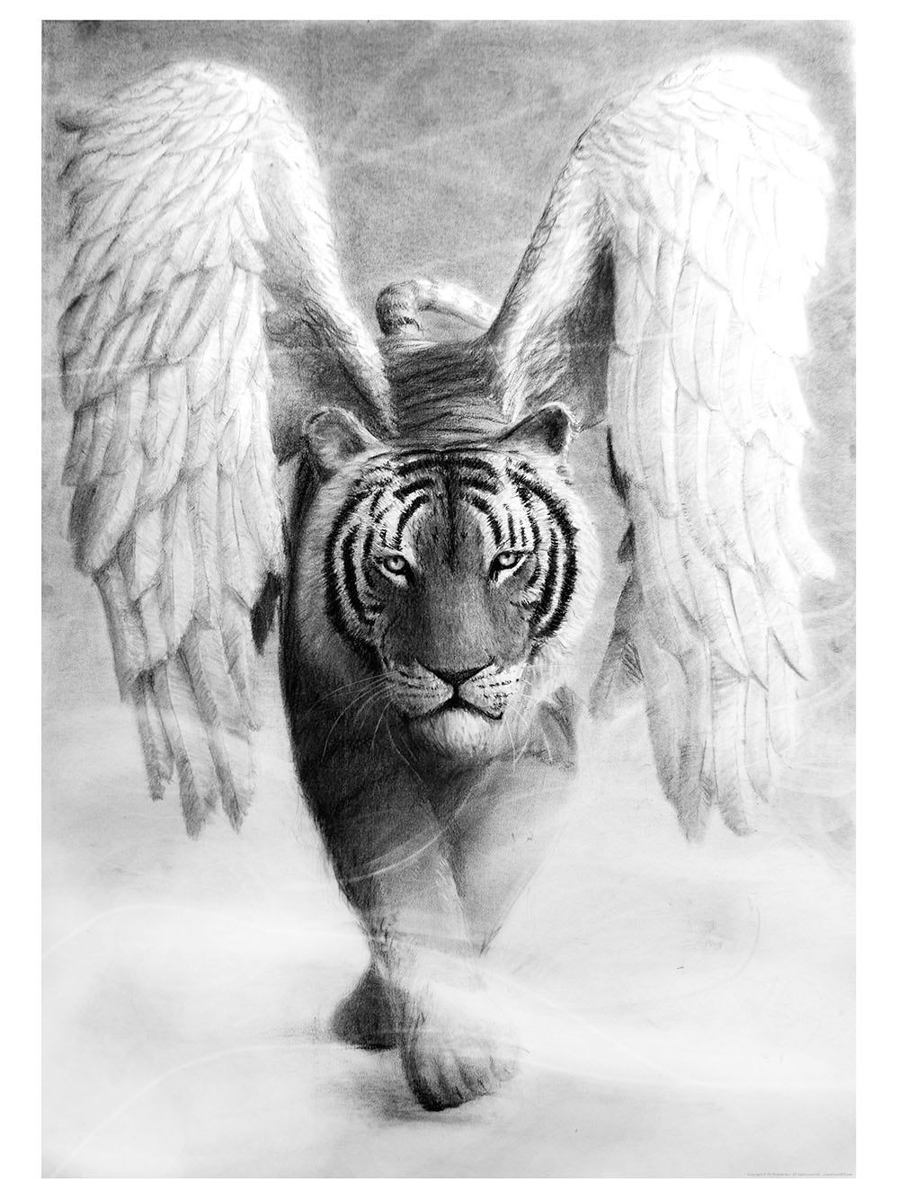 Rynx | Tiger Wings