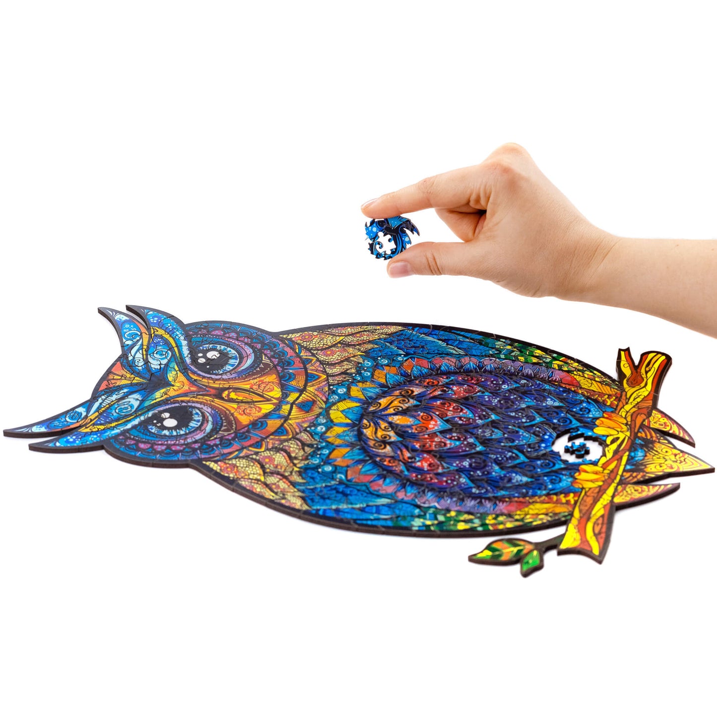 Rynx | The graceful owl