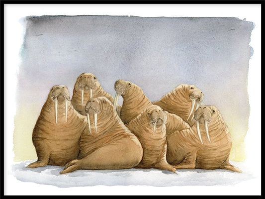 Rynx | Walrus