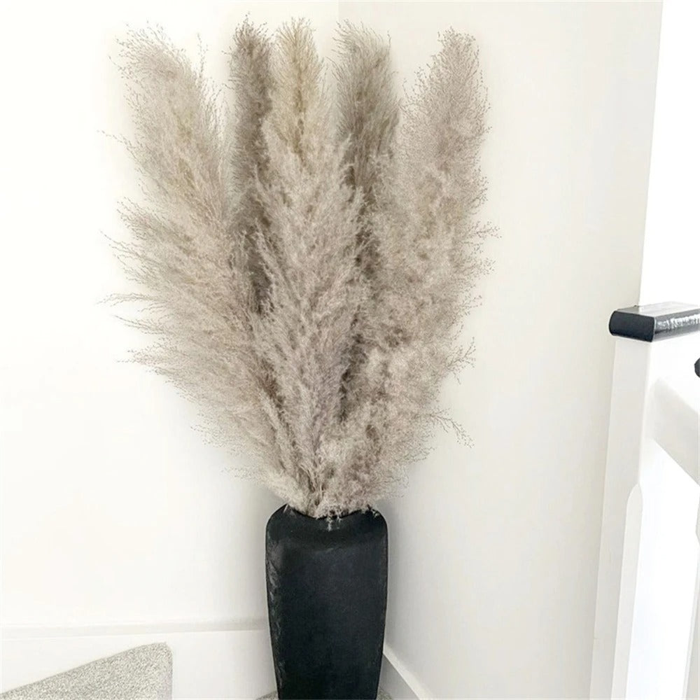 Rynx | FeatherBloom Pampas Grass | Large Feathers for Luxurious Decoration | Dried Flowers for Home & Events