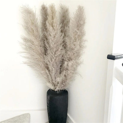 Rynx | FeatherBloom Pampas Grass | Large Feathers for Luxurious Decoration | Dried Flowers for Home & Events