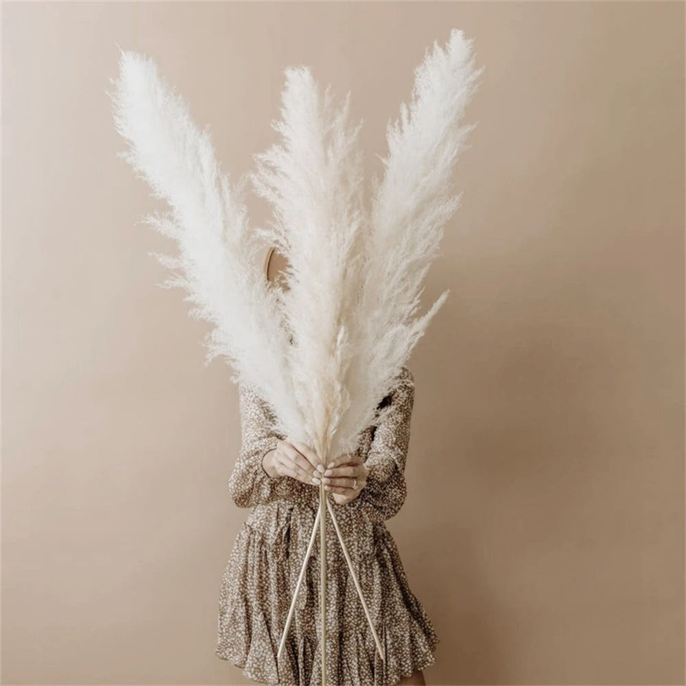 Rynx | FeatherBloom Pampas Grass | Large Feathers for Luxurious Decoration | Dried Flowers for Home & Events