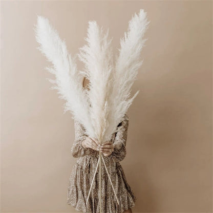 Rynx | FeatherBloom Pampas Grass | Large Feathers for Luxurious Decoration | Dried Flowers for Home & Events