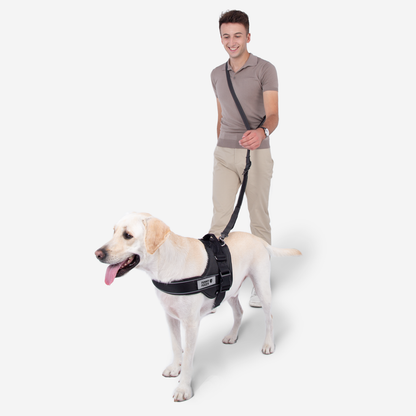 RYNX | Hands Free Dog Leash With Safety Seat Belt