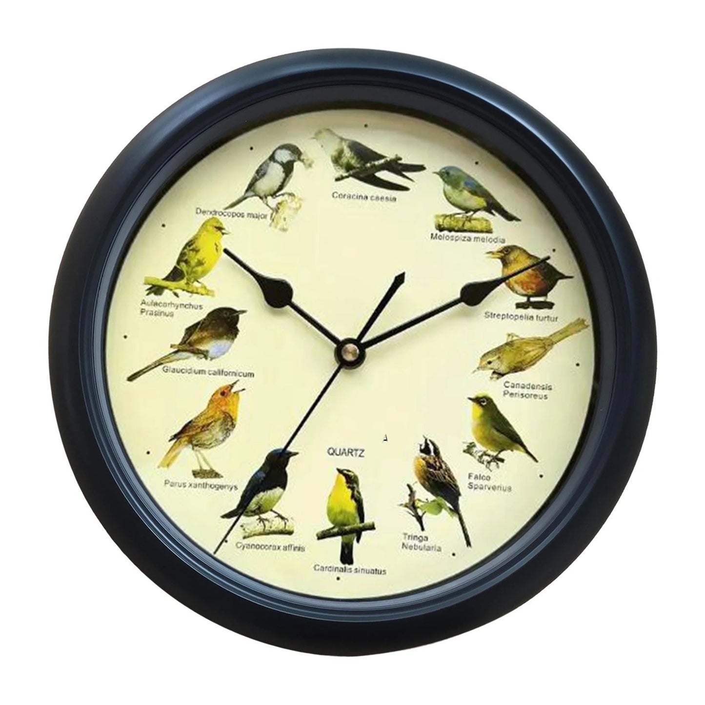 Rynx | Wall Clock - Decorative Timepiece with Bird Sounds - Unique Atmosphere