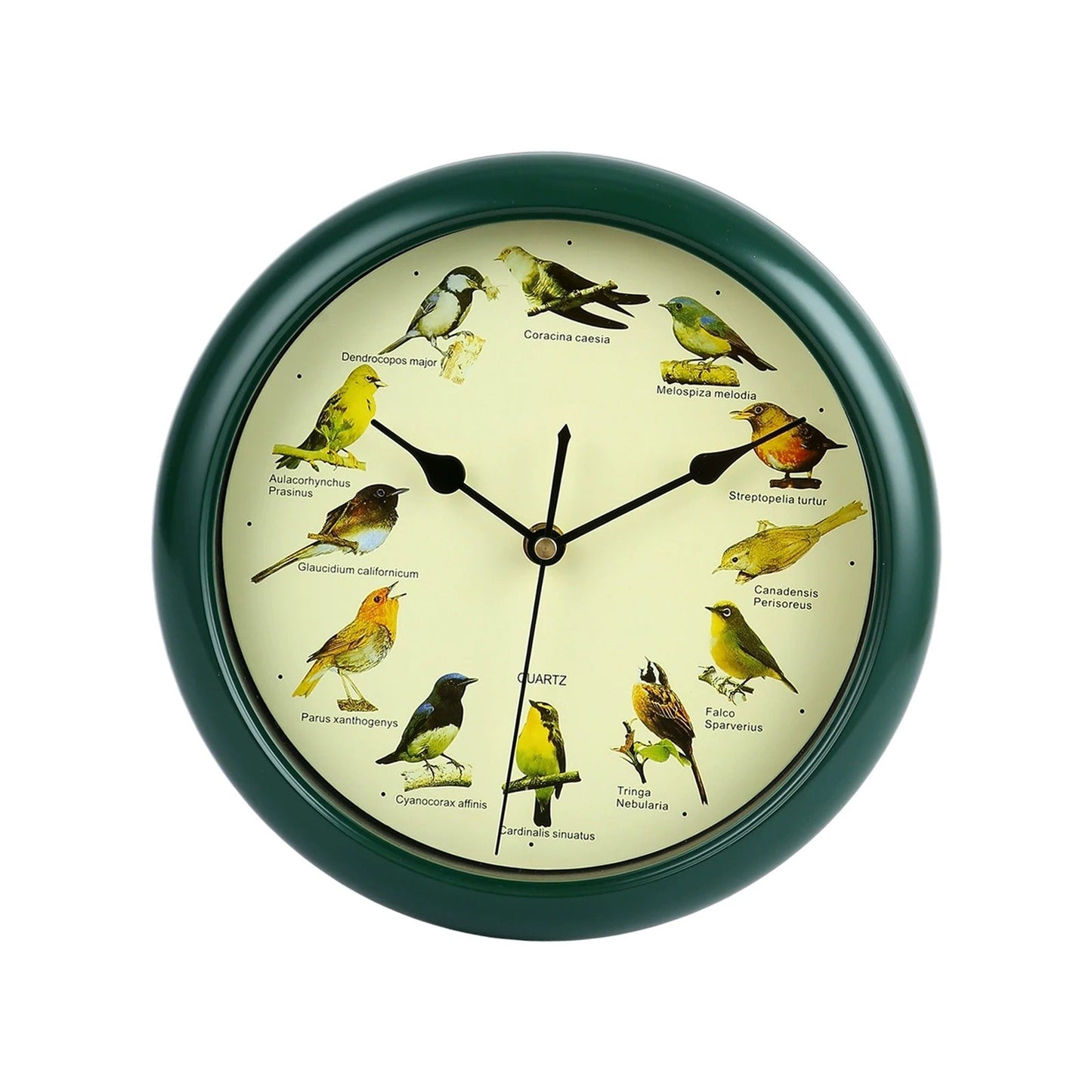 Rynx | Wall Clock - Decorative Timepiece with Bird Sounds - Unique Atmosphere