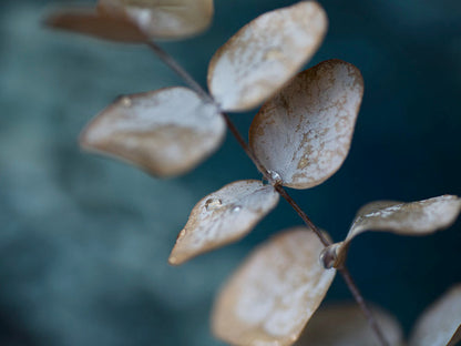 Rynx | Waterdrop II