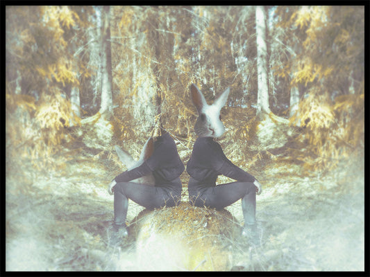 Rynx | What happens in the forest, stays in the forest