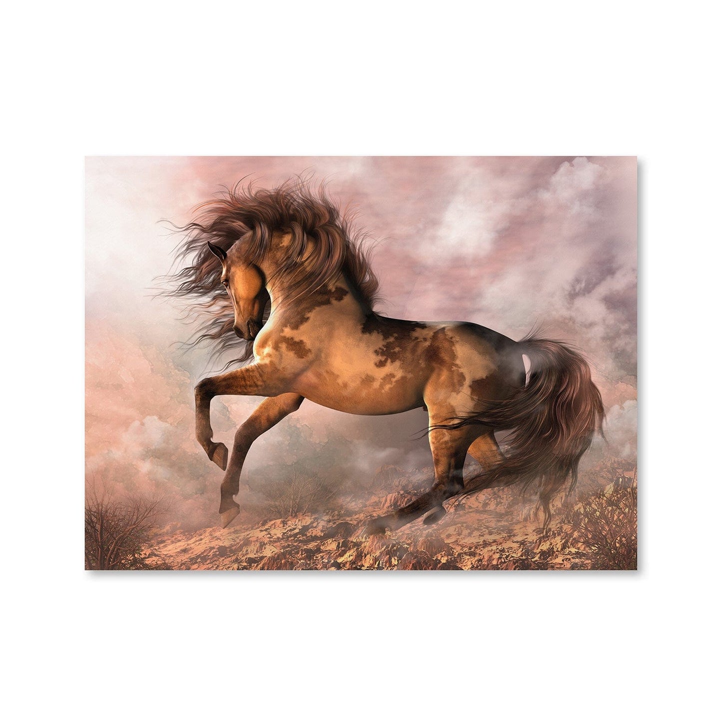 Rynx | Wild Spirit Canvas