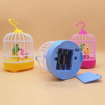 Rynx | Songbird | Bird nest